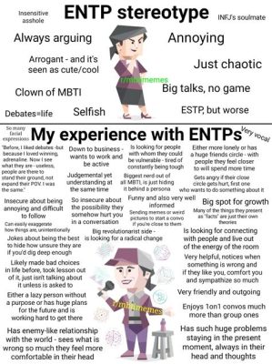 entp 연락두절, 그들은 정말로 사라졌을까?